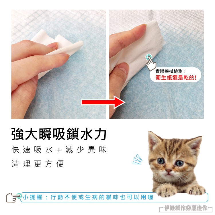 強大瞬吸鎖水力快速吸水+減少異味實際擦拭檢測:衛生紙還是乾的!清理更方便小提醒:行動不便或生病的貓咪也可以用喔伊娃創作必屬佳作