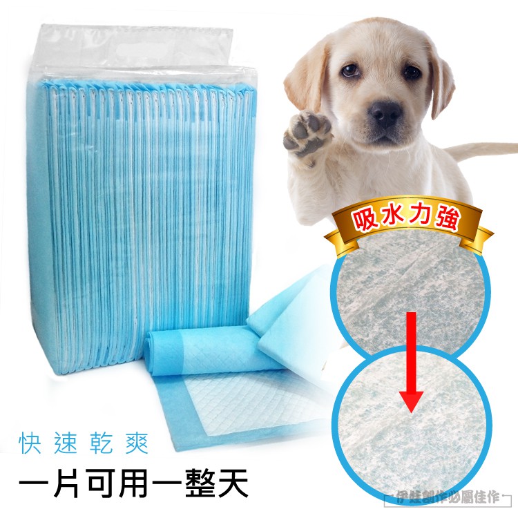 快速乾爽吸水力強片可用一整天伊娃必佳作一